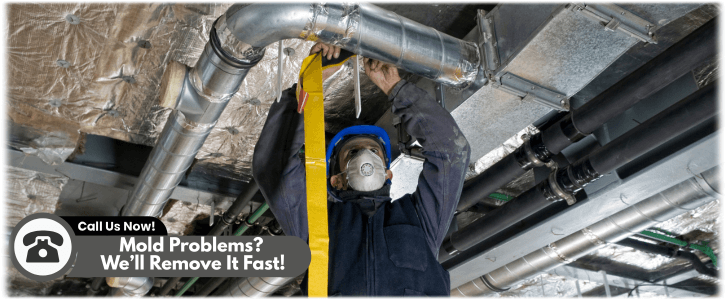 Air Duct Mold Removal in Everett WA