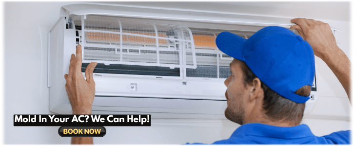 HVAC Mold Removal Everett WA
